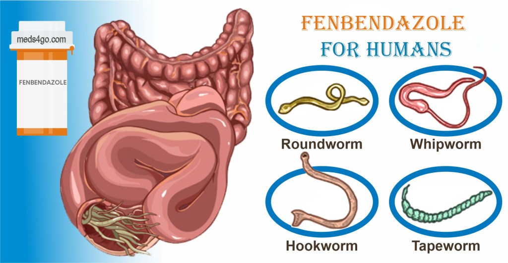Fenbendazole for Humans: What You Need to&nbsp;Know?